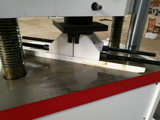 f(wn)ԇ(yn)C(j)c(din)(sh)(yn)